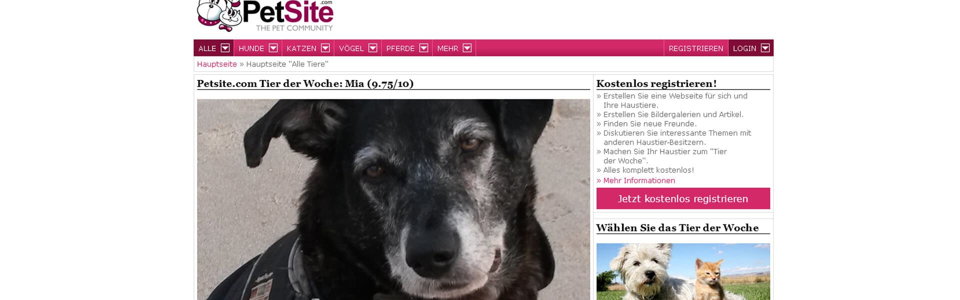 PetSite.com Tier-Community